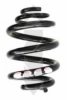 SPIDAN 86853 Coil Spring